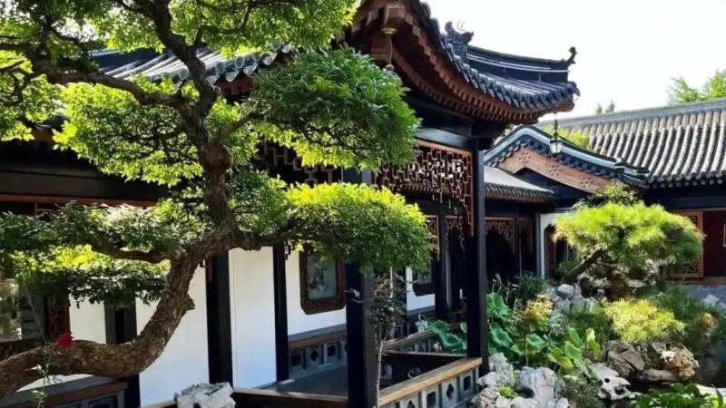 亚冠小组赛赛程怎么查？看懂赛制与阶段安排的关键方法